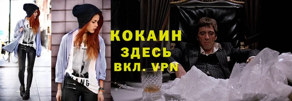 крисы Абаза