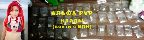 крисы Абаза