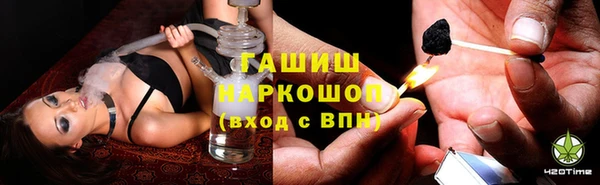 крисы Абаза
