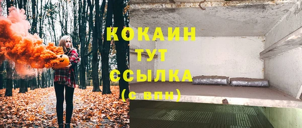 крисы Абаза