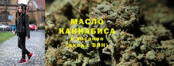 крисы Абаза