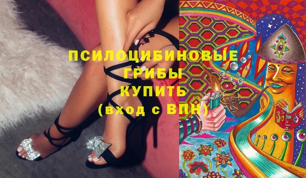 не бодяженный Алексин