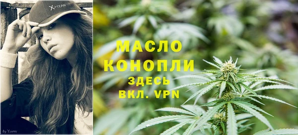 крисы Абаза
