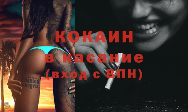 крисы Абаза