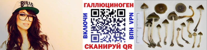 где найти   Мегион  Псилоцибиновые грибы мицелий 